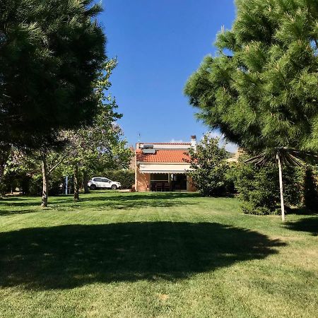 Apartament Plane Tree House Nea Nea Makri Zewnętrze zdjęcie