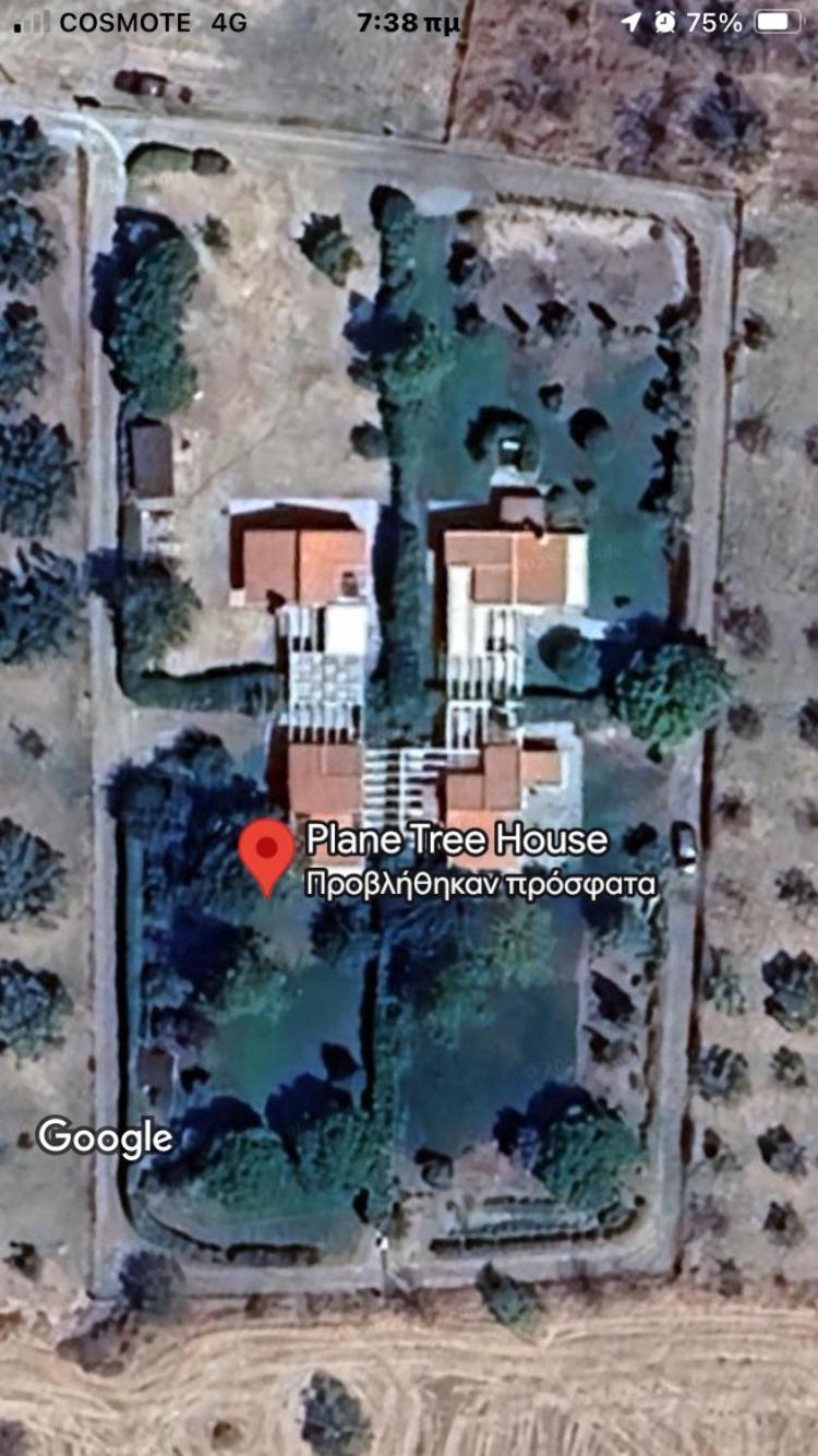 Apartament Plane Tree House Nea Nea Makri Zewnętrze zdjęcie