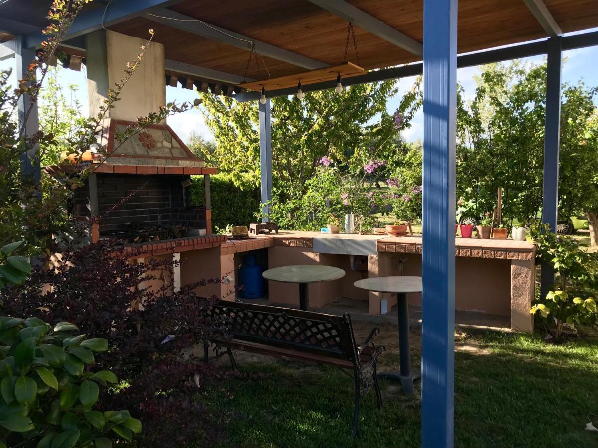 Apartament Plane Tree House Nea Nea Makri Zewnętrze zdjęcie