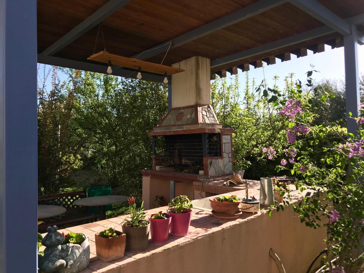 Apartament Plane Tree House Nea Nea Makri Zewnętrze zdjęcie